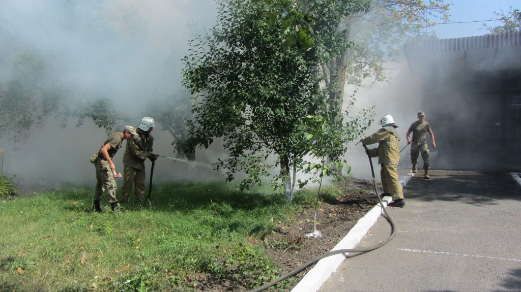 13698028_1163621397032960_32421215859924358_o