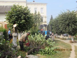 14291927_1193822090664300_3650113767253637880_n